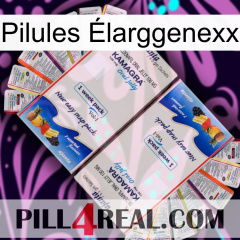 Pilules Élarggenexx kamagra1